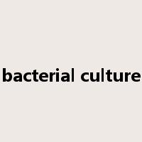 bacterial culture是什么意思