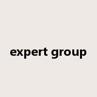 expert group是什么意思