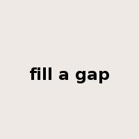 fill a gap是什么意思
