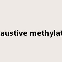 exhaustive methylation是什么意思