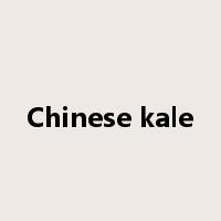 Chinese kale是什么意思
