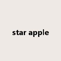 star apple是什么意思