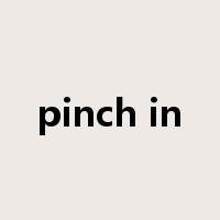 pinch in是什么意思
