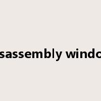 disassembly window是什么意思