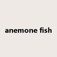 anemone fish是什么意思