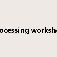 processing workshop是什么意思