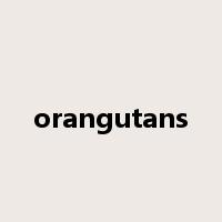 orangutans是什么意思