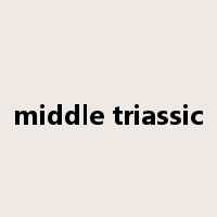 middle triassic是什么意思
