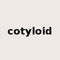 cotyloid是什么意思