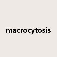 macrocytosis是什么意思