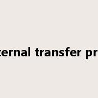 internal transfer price是什么意思