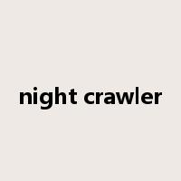 night crawler是什么意思