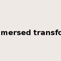 oil immersed transformer是什么意思