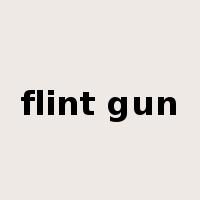 flint gun是什么意思