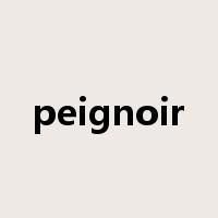 peignoir是什么意思
