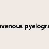 intravenous pyelography是什么意思