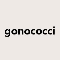 gonococci是什么意思