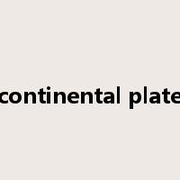 continental plate是什么意思