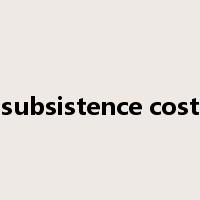 subsistence cost是什么意思