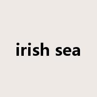 irish sea是什么意思