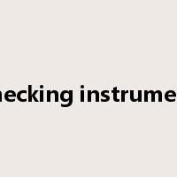 checking instrument是什么意思