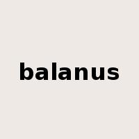 balanus是什么意思