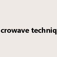 microwave technique是什么意思