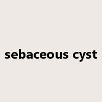 sebaceous cyst是什么意思