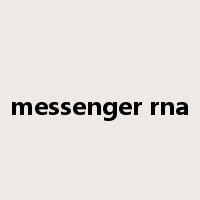 messenger rna是什么意思