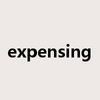 expensing是什么意思