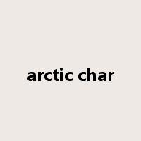 arctic char是什么意思