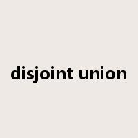 disjoint union是什么意思