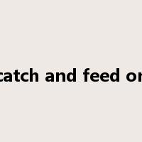 catch and feed on是什么意思