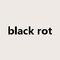 black rot是什么意思