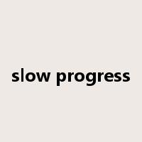 slow progress是什么意思