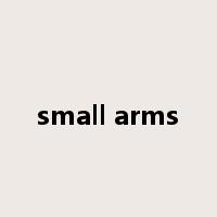 small arms是什么意思