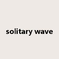 solitary wave是什么意思