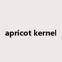 apricot kernel是什么意思