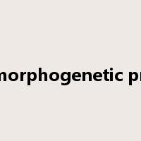 bone morphogenetic proteins是什么意思