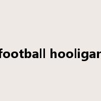 football hooligan是什么意思