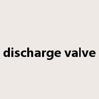 discharge valve是什么意思