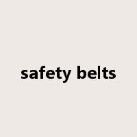 safety belts是什么意思