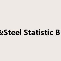 Iron &Steel Statistic Bureau是什么意思