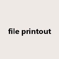 file printout是什么意思