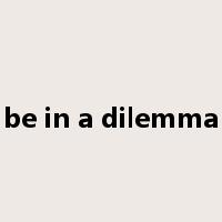 be in a dilemma是什么意思