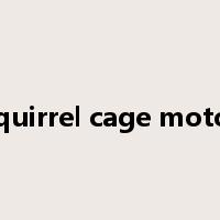 Squirrel cage motor是什么意思