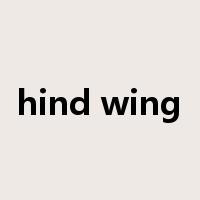 hind wing是什么意思