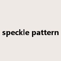 speckle pattern是什么意思