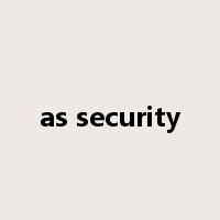 as security是什么意思