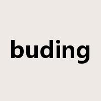 buding是什么意思